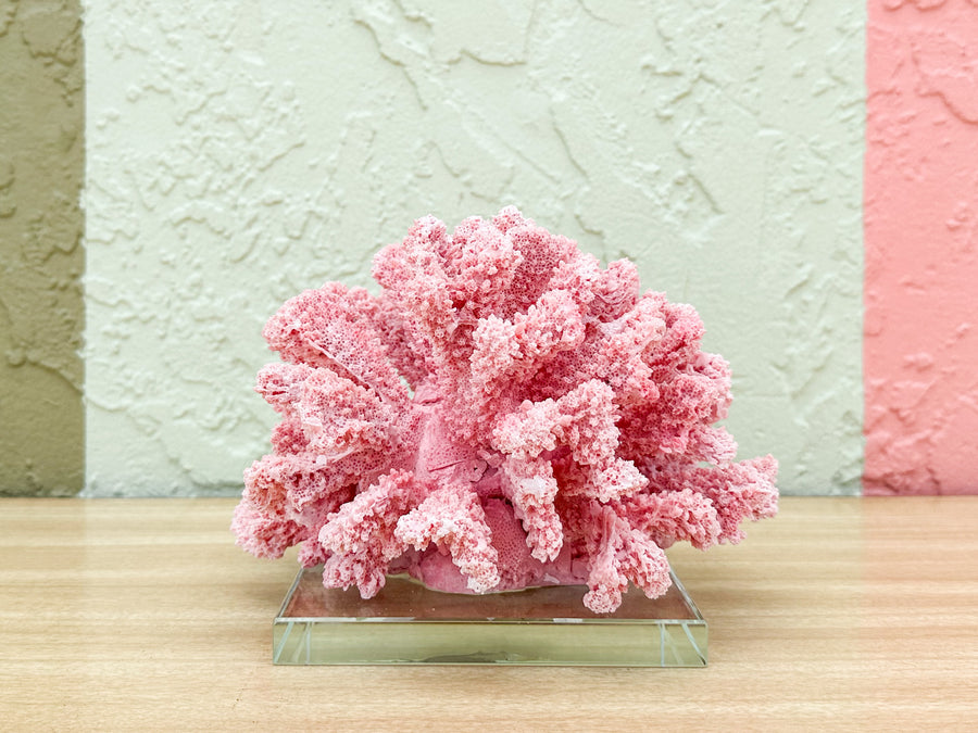 Pink Chic Coral on Lucite
