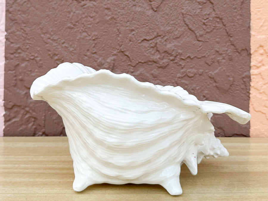 Cream Conch Shell Cachepot