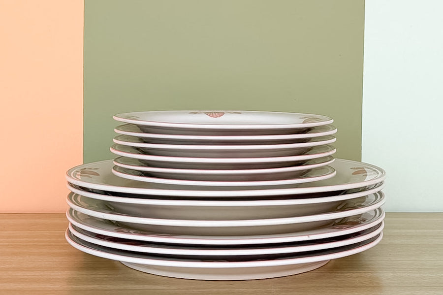 Pink Chic Coquille Sangostone Dish Set