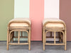 Pair of Rattan Ottomans