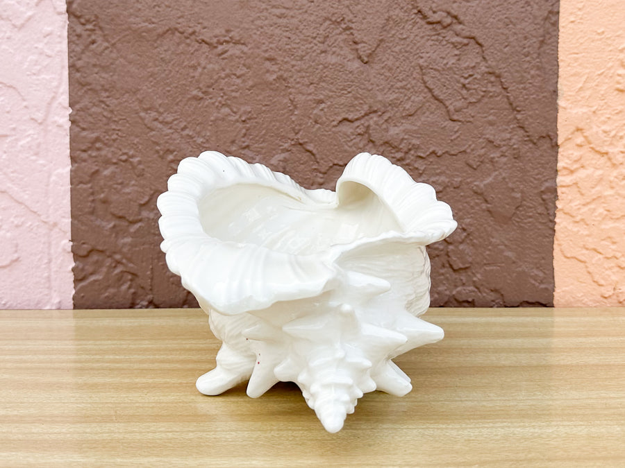 Cream Conch Shell Cachepot