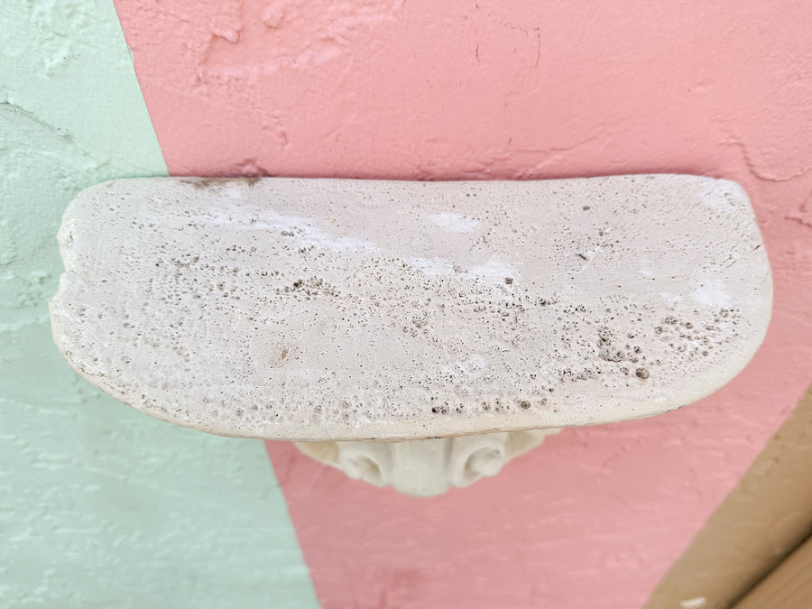 Pair of Plaster Shell Wall Shelves