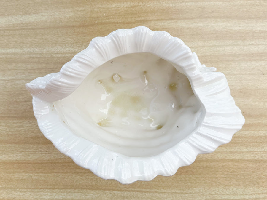 Cream Conch Shell Cachepot