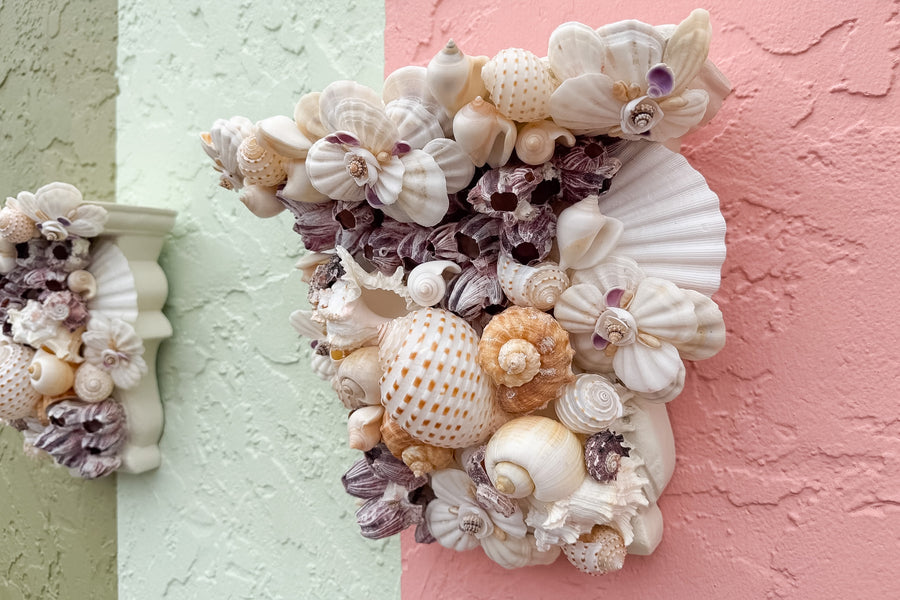 Pair of Large Shell Chic Wall Shelves