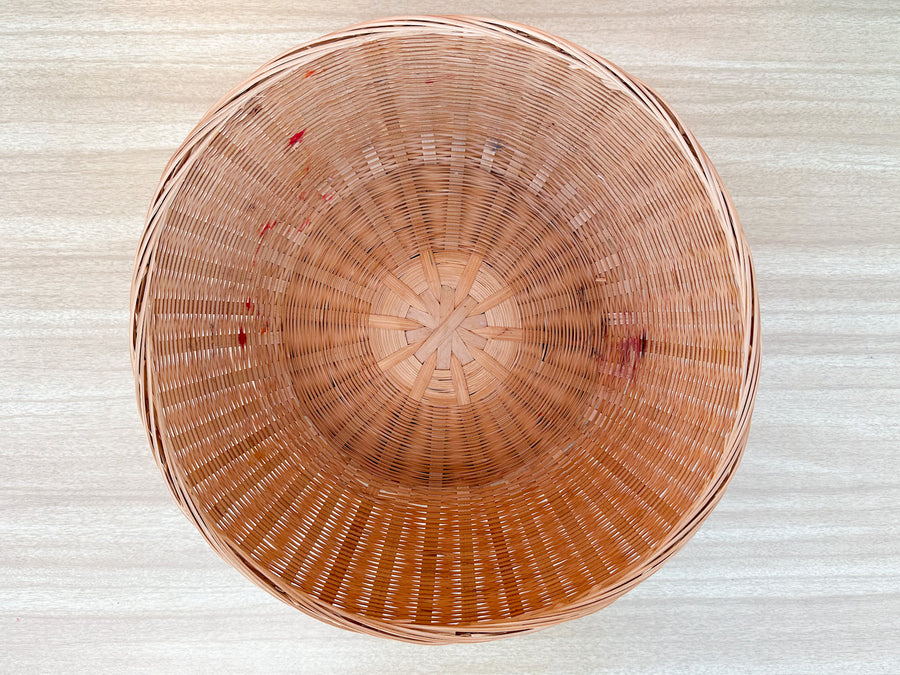 Sweet Shellegance Basket