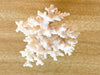 Lace Coral Finial