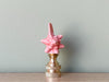 Wade Whimsies Oceana Finial — Pink Conch Shell