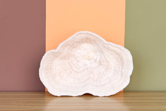 Natural Bowl Coral
