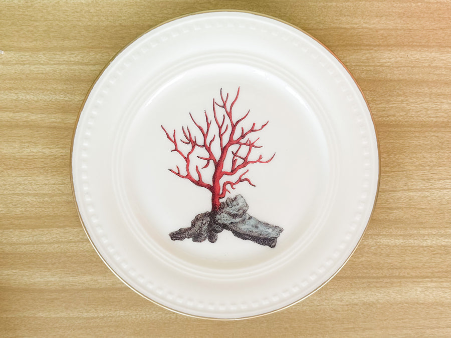 Large Coral Decoupage Plate