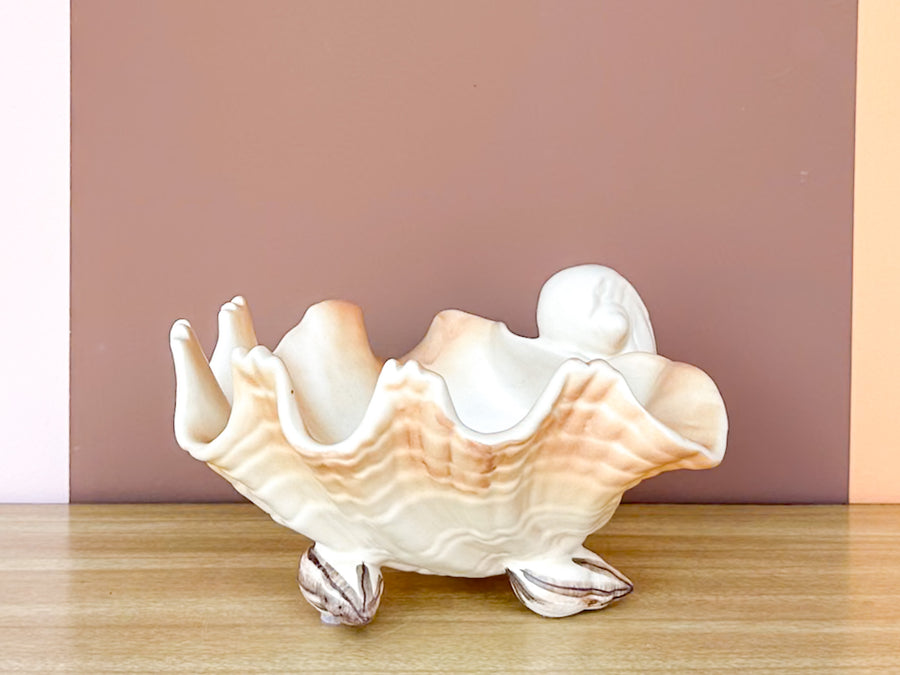 Seashell Dish