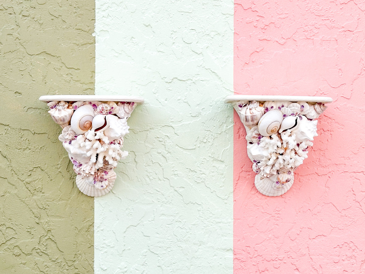 Shell Chic Wall Shelves