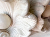 Shell Chic Plaster Coffee Table