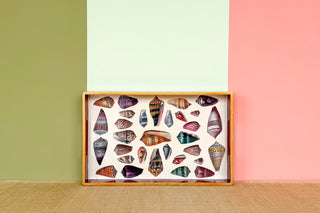 Red Lacquer Decoupage Shell Tray