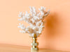 Lace Coral Finial