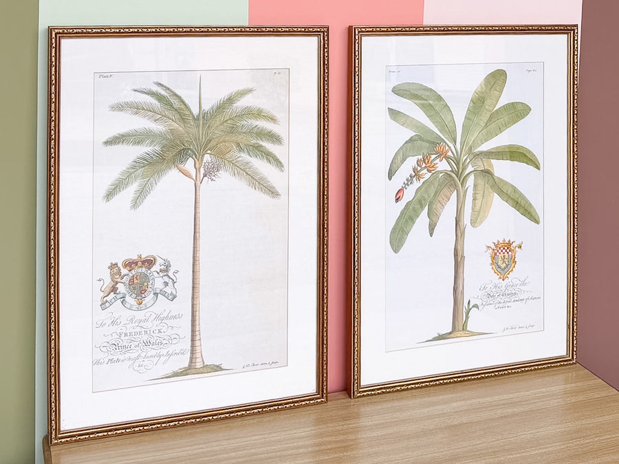 Pair of Palm Tree Prints
