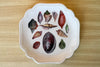 Trio of Shell Chic Decoupage Plates