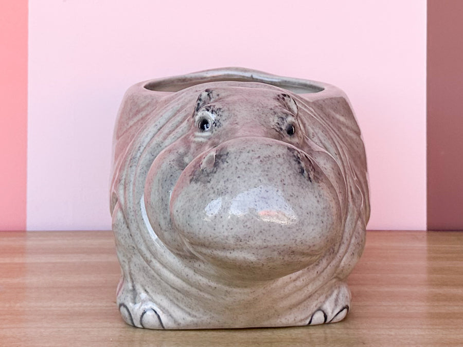 Adorable Ceramic Hippo Cachepot