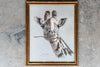 Safari Chic Giraffe Framed Print