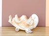 Seashell Dish