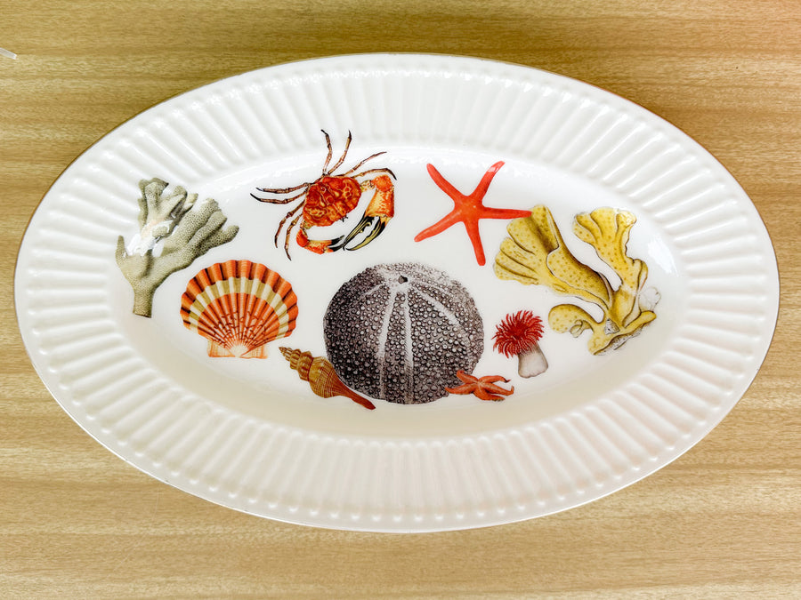 Large Sea Life Decoupage Plate