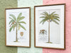 Pair of Palm Tree Prints