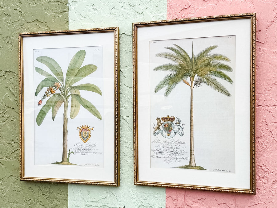 Pair of Palm Tree Prints