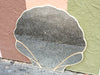 Coastal Clam Shell Mirror