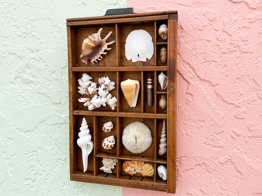 Petite Printers Tray Shell Display