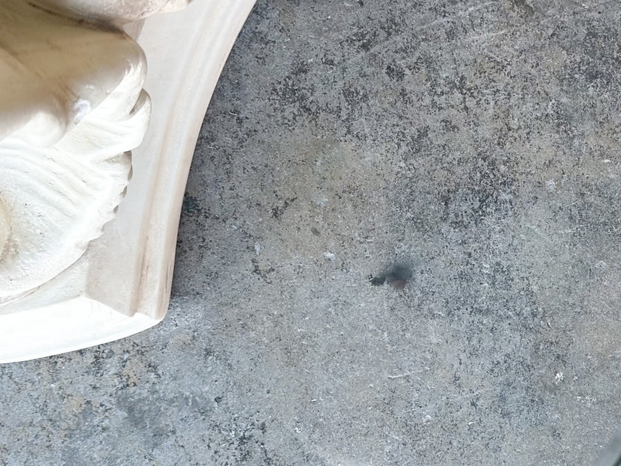 Shell Chic Plaster Coffee Table