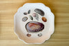 Trio of Shell Chic Decoupage Plates