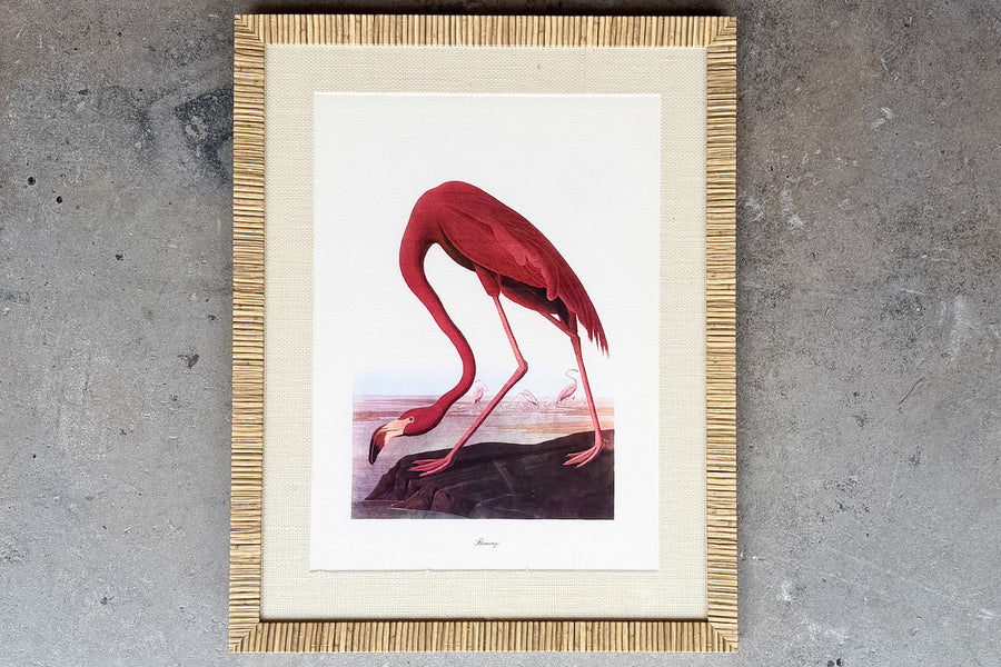Flamingo Print in Rattan Frame