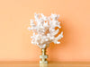 Lace Coral Finial