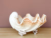 Seashell Dish