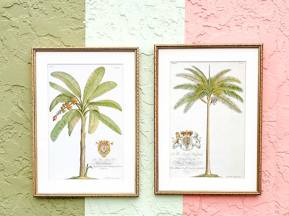 Pair of Palm Tree Prints