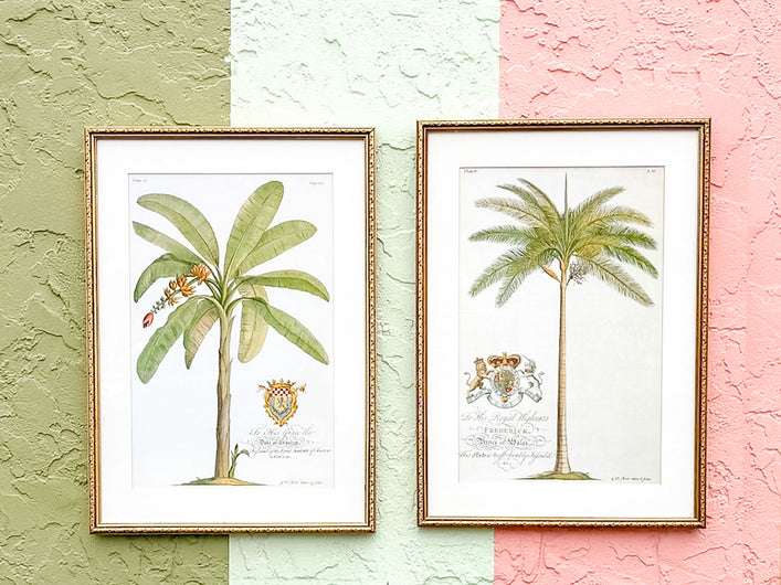 Pair of Palm Tree Prints
