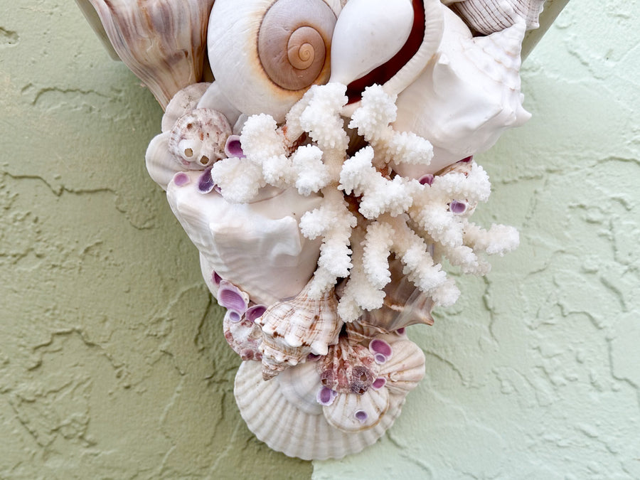 Shell Chic Wall Shelves