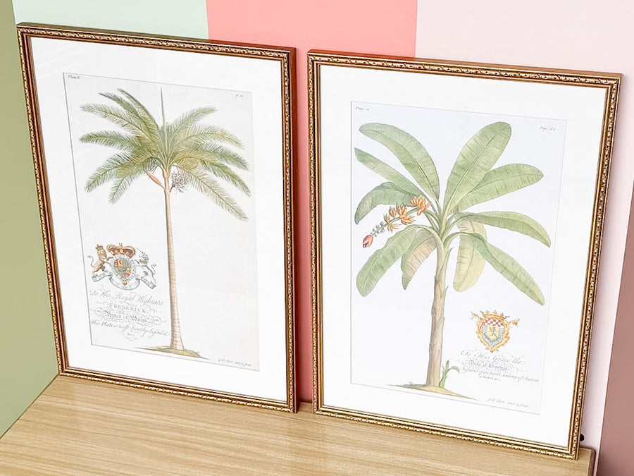 Pair of Palm Tree Prints