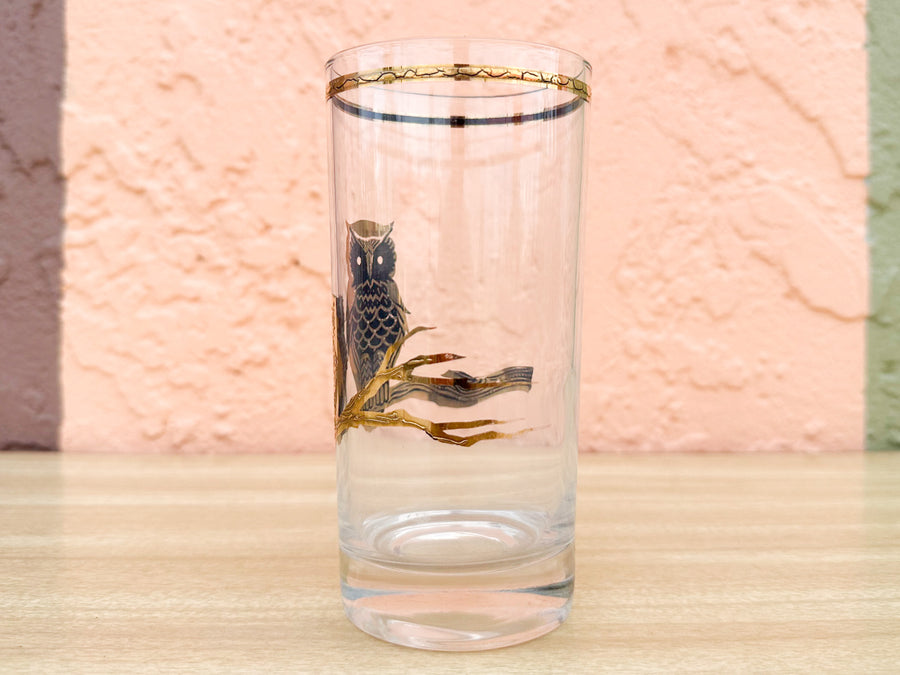 Set of Five Culver Owl Glassware