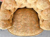 Pair of Golden Brocade Barrel Chairs on Castors