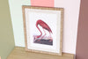 Flamingo Print in Rattan Frame