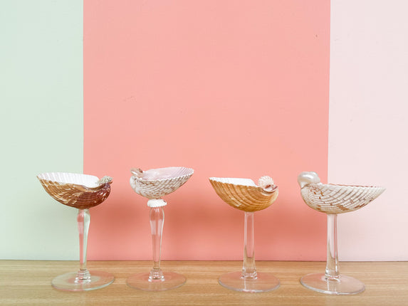 Set of Four Shell Chic Coupes