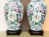 Pair of Granny Chic Floral Lamps