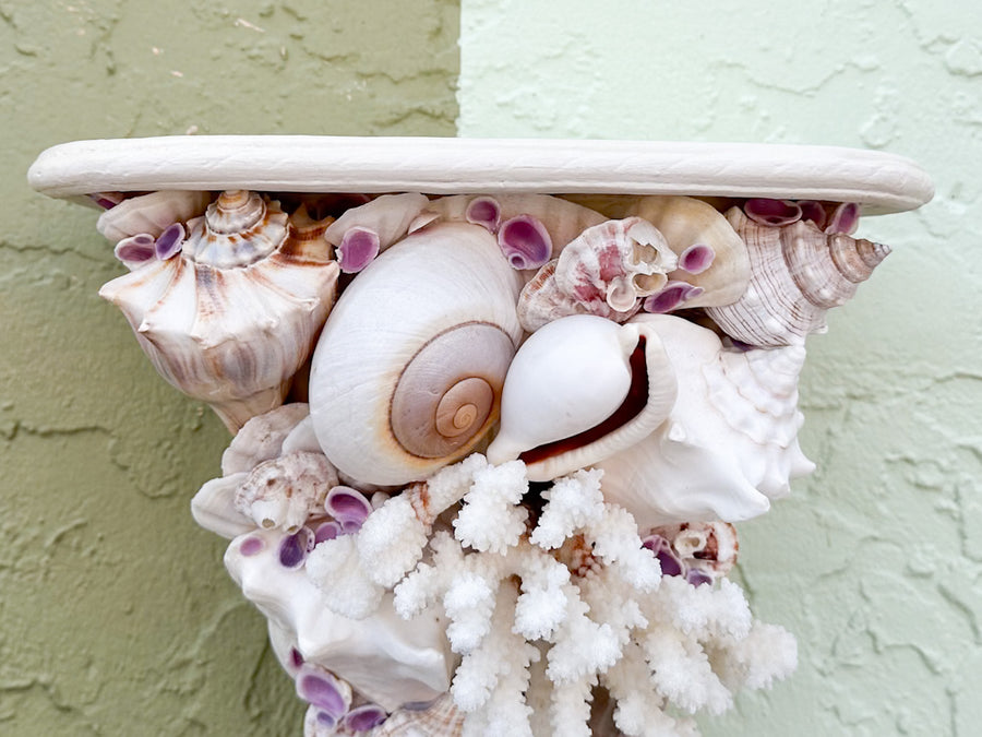 Shell Chic Wall Shelves