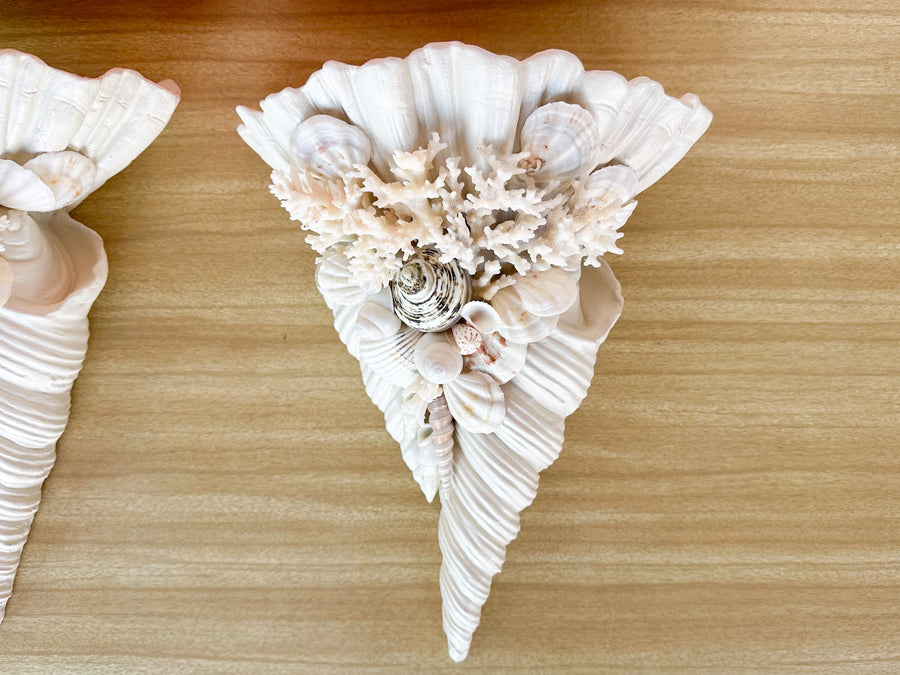 Pair of Shell Wall Pockets