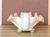 Seashell Dish