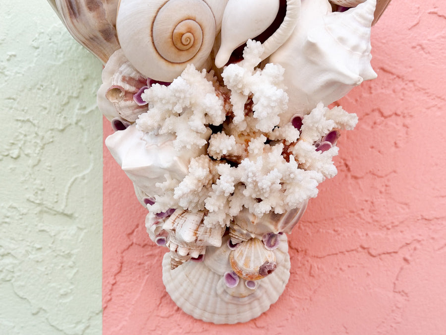 Shell Chic Wall Shelves