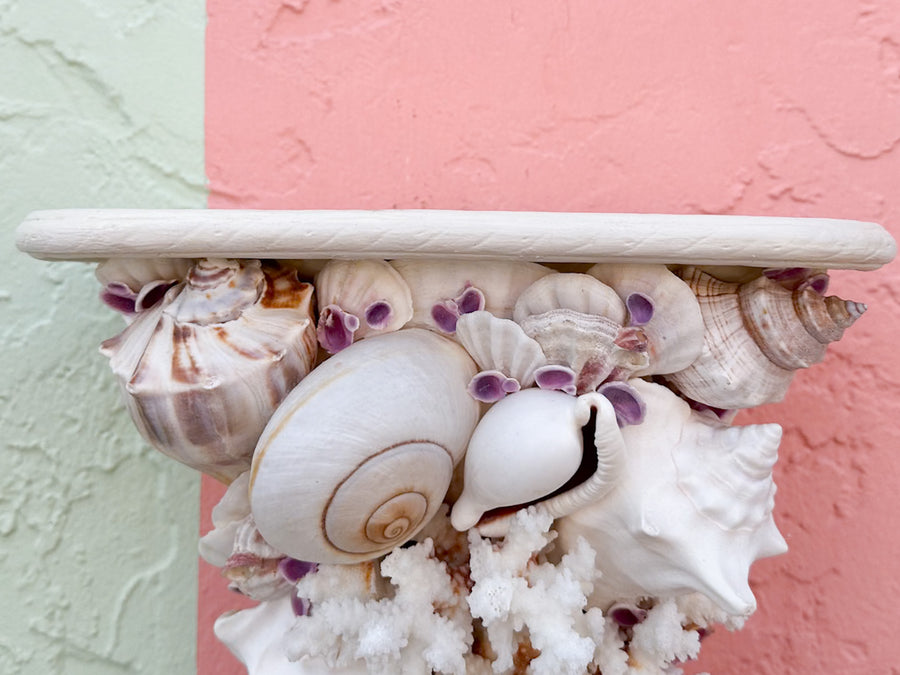 Shell Chic Wall Shelves
