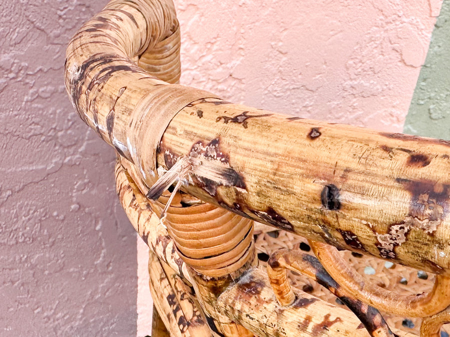 Fab Tortoiseshell Rattan Barrel Chair