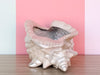 Iridescent Shell Cachepot