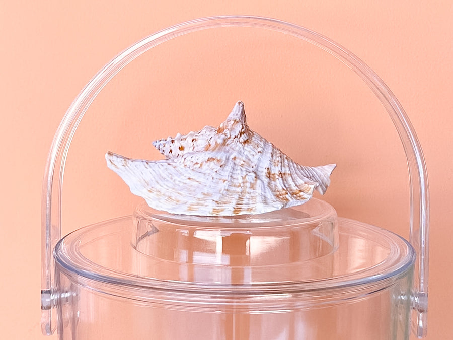 Brown Conch Shell Lucite Ice Bucket